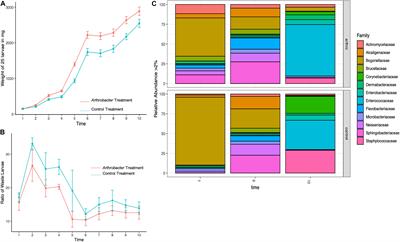 Effects of Bacterial Supplementation on Black Soldier Fly Growth and Development at Benchtop and Industrial Scale